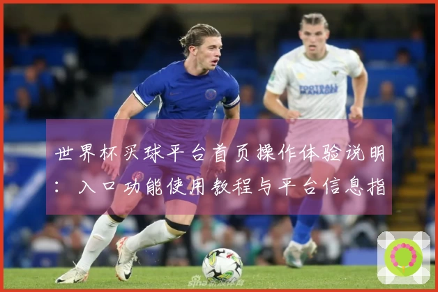 世界杯买球平台首页操作体验说明：入口功能使用教程与平台信息指南