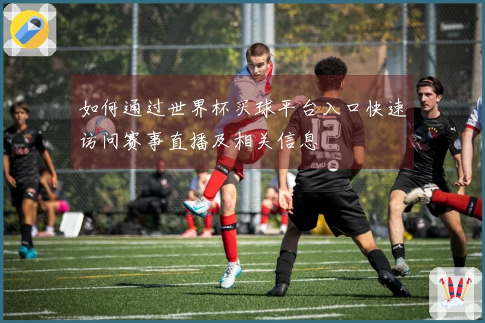 如何通过世界杯买球平台入口快速访问赛事直播及相关信息