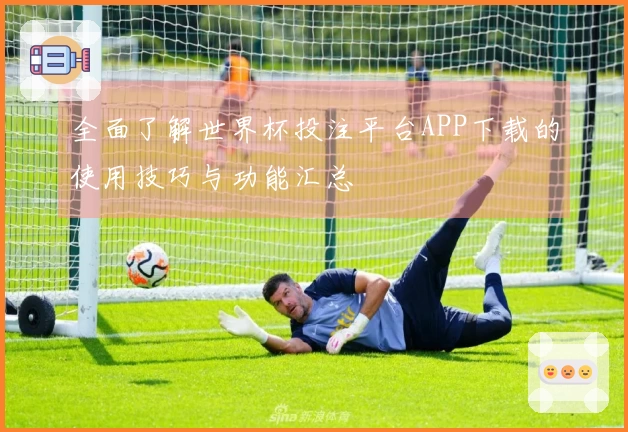 全面了解世界杯投注平台APP下载的使用技巧与功能汇总