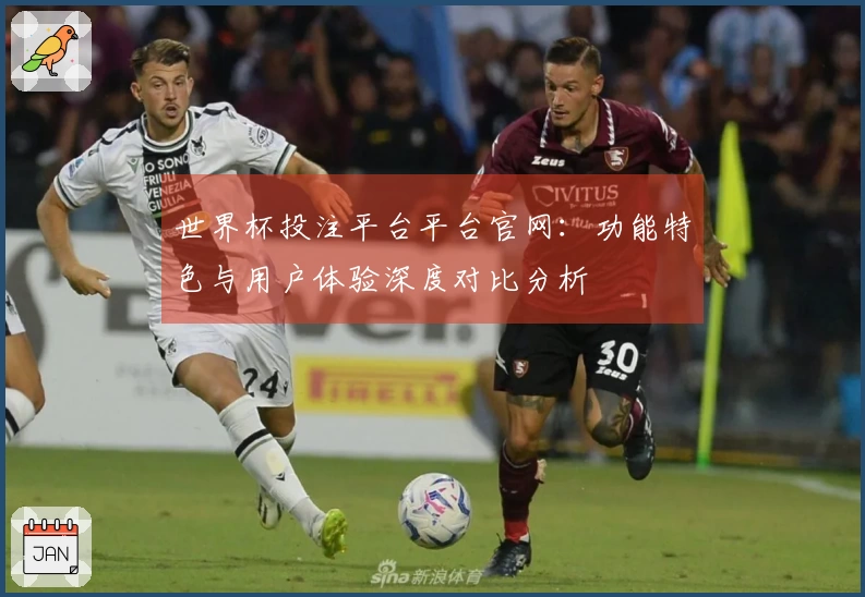 世界杯投注平台平台官网：功能特色与用户体验深度对比分析