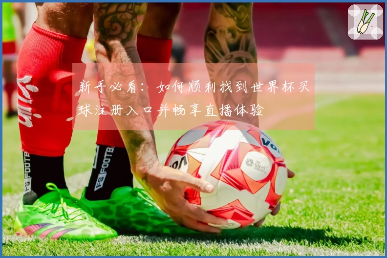 新手必看:如何顺利找到世界杯买球注册入口并畅享直播体验