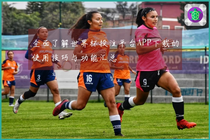全面了解世界杯投注平台APP下载的使用技巧与功能汇总